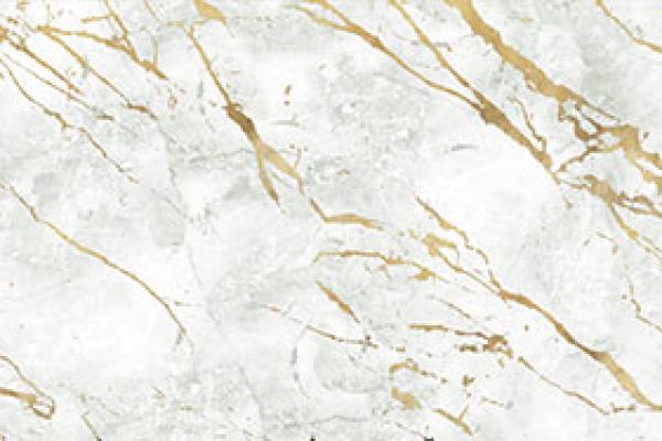 Surface Wdp 3110
