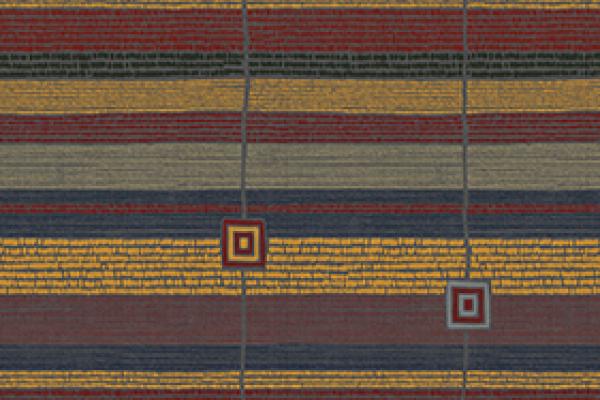 Vernissage Wdp 918