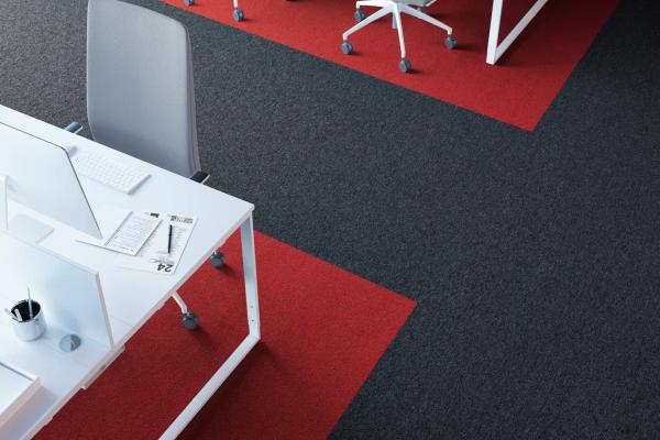 First Forward 329 990